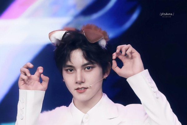 丹凤眼明星盘点-红迪亚