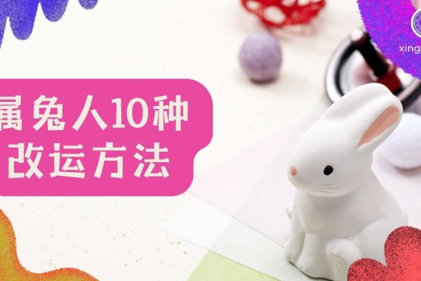 属兔与生肖鸡的运势解析及影响-红迪亚