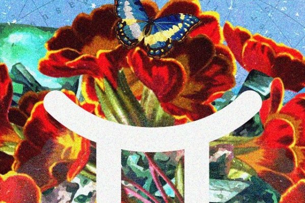 11月19日星座分析-红迪亚