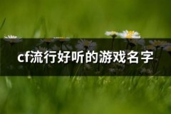 CF游戏昵称精选集-红迪亚