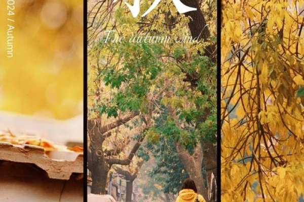 10月14日，秋意浓情的日子-红迪亚