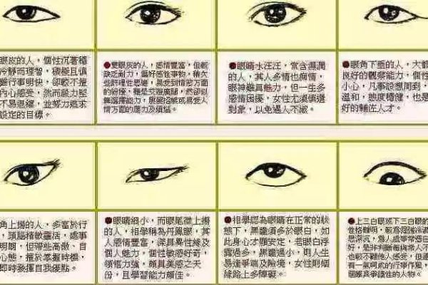 塌鼻子面相解析,性格、财运与婚姻洞察,建议,揭秘塌鼻子的深层含义,从性格特质到命运走向-红迪亚