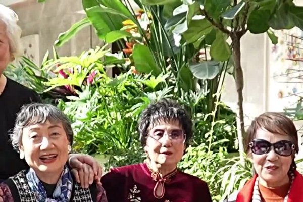 桑榆之年，泛指50岁以上的老年人，涵盖不同年龄段，建议，桑榆之年，解析年龄称谓背后的文化含义-红迪亚