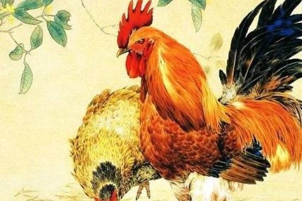 属鸡最配属的生肖，牛、龙、蛇，解析与婚配建议。-红迪亚