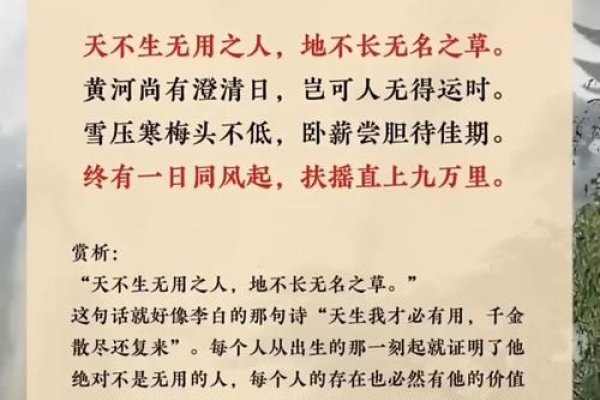 鸿鹄之意古代文化-红迪亚