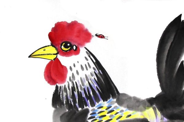 阴阳二分与生肖关系解析，揭秘最佳答案标题简洁明了，直接概括了文章的核心内容。-红迪亚