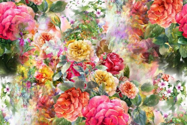 艳阳高照的生肖之谜-红迪亚