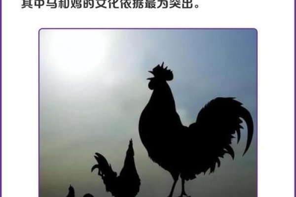 艳阳高照代表的生肖是马或鸡,详细解释请见下文。-红迪亚
