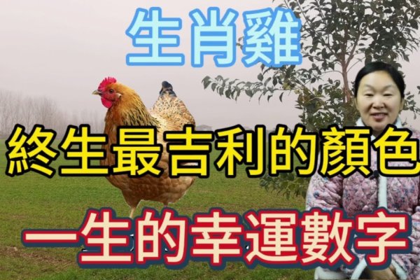 夕阳落日对应的生肖是鸡-红迪亚