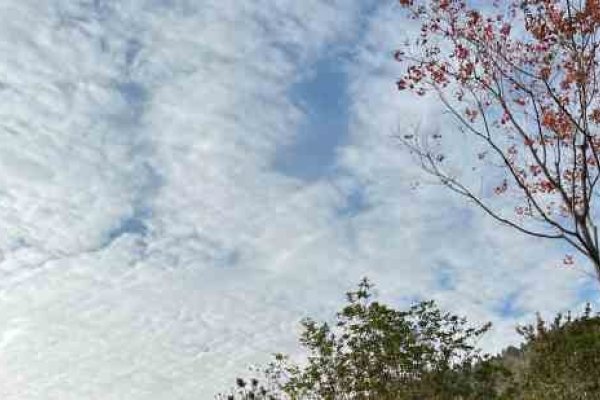 诗意情侣名字，木槿何溪，栀葵温水，画情难透骨，断念成空无，昵称一对，流萤百啭、彼岸霓虹-红迪亚