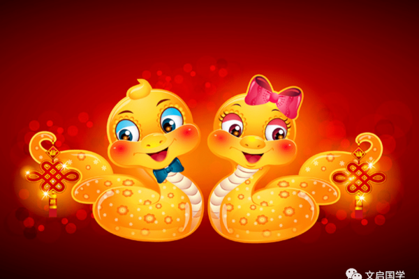 阴阳颠倒生肖蛇。-红迪亚