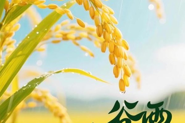 谷雨，生命的润泽与丰收的希望-红迪亚