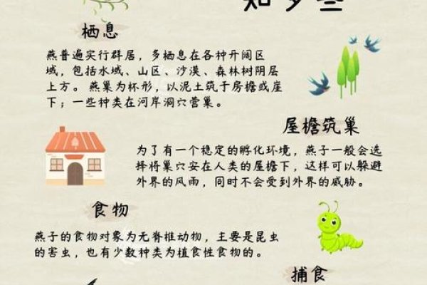 燕语莺声生肖解读-红迪亚