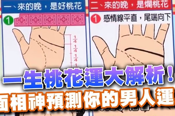 杏眼男性性格特质与命运解析，温和、桃花运佳，事业家庭平稳发展？-红迪亚