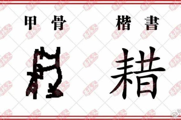 籍与藉，读音用法辨析-红迪亚