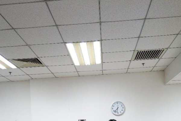 4月20日特殊意义解析，国际大麻日和中文语言日的双重纪念，涵盖了所提供内容的主要信息点，同时保持了简洁性。-红迪亚