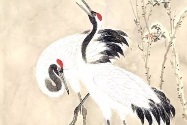 闲云野鹤指羊。-红迪亚