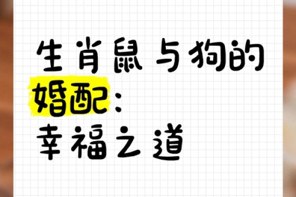 甜言蜜语形容生肖鼠与狗，或，十二生肖中的甜言蜜语者——生肖鼠、狗的特质解析。-红迪亚