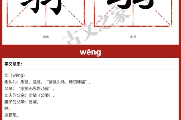 翁组词及拼音速览-红迪亚