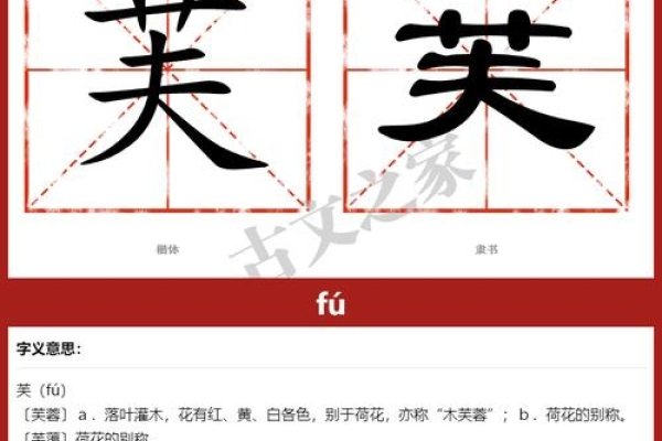 芙组词与拼音速览，直接概括了内容中关于芙字的组词和拼音的介绍，简洁明了。-红迪亚