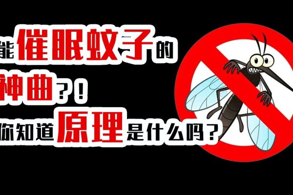 蚊子梦境解析-红迪亚