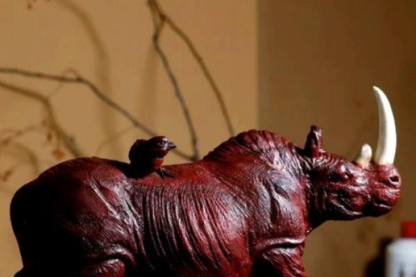 犀照牛渚揭秘，生肖牛的象征与寓意-红迪亚