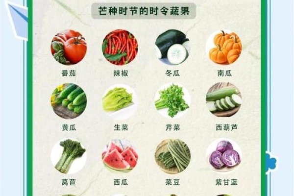 芒种时节风俗食物介绍-红迪亚