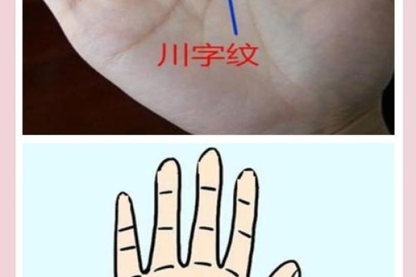 川字手纹富贵论-红迪亚