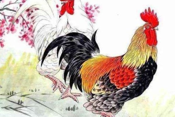 妄自尊大解一生肖，猴与鸡，该成语描绘的是一种过于自信、自大且缺乏谦逊的态度，在生肖中猴子常被认为聪明机智但可能伴有自大的特性；而鸡的昂首挺胸姿态也易让人联想到妄自尊大。因此，答案可能是猴或鸡。-红迪亚