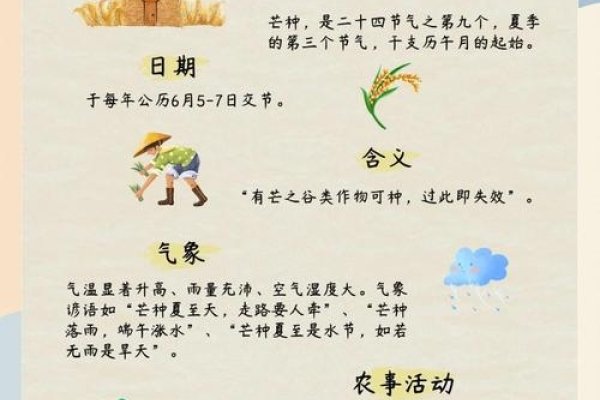 芒种,收获与播种的人生寓意-红迪亚