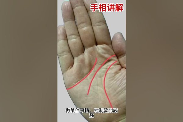 川字掌男人手相解析-红迪亚