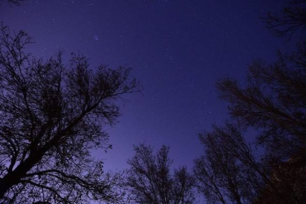 狮子座性格深度解析，自尊、骄傲与领导力的多重交织-红迪亚