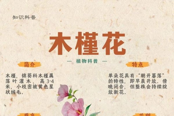 槿字寓意，根据您提供的内容，槿字的含义可以理解为开花时间短暂、象征生命珍贵和时光易逝的美好。同时，它也可以代表一种落叶灌木木槿花的意思，具有坚韧不拔的精神品质和文化寓意。在诗词文学中，槿常被用来比喻人的纯洁美好和不屈精神。，具体来说，瑾分别代表了美玉的含义和高贵、纯洁的寓意；瑾读作jǐn，在中国传统文化中也常常被赋予珍贵的意义，如左传·宣公十五年中的瑾瑜匿瑕。此外，槿也代表着木本植物的特点和时间短暂的意象。因此，取名时可以根据个人喜好选择合适的字组合起来形成寓意好的名字。-红迪亚