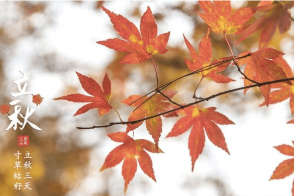 夏至与立秋的日期。-红迪亚