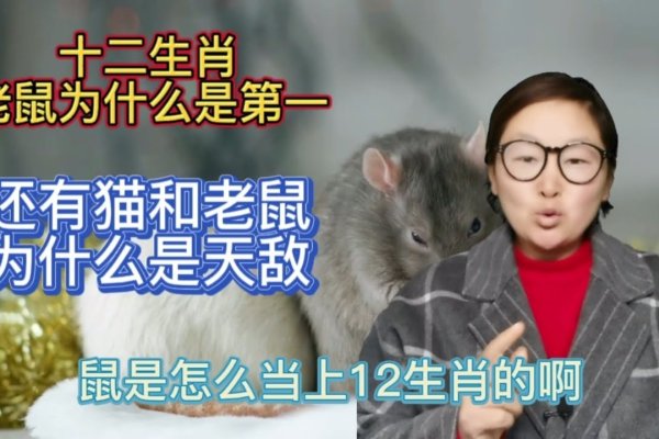 一步登天打一生肖，答案生肖为鼠。-红迪亚