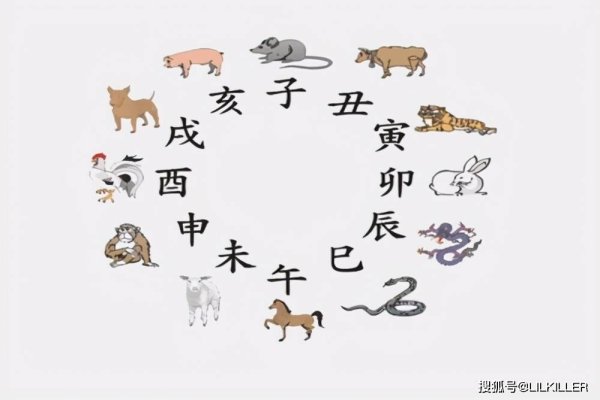 用兵如神的生肖之谜，根据传统文化和民间解读，用兵如神所指的生肖可能为狗、龙或猴。但具体答案仍存在争议，需从文化内涵及动物特性等多方面综合分析。-红迪亚