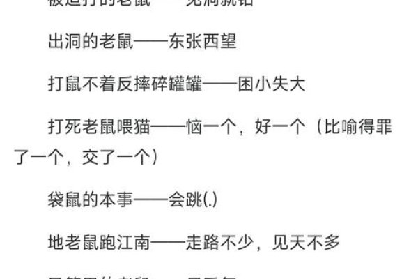 雨打灯笼——生肖鼠的谜底解释。-红迪亚