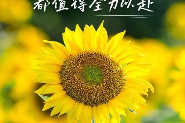 阳光心态,正能量满满。-红迪亚