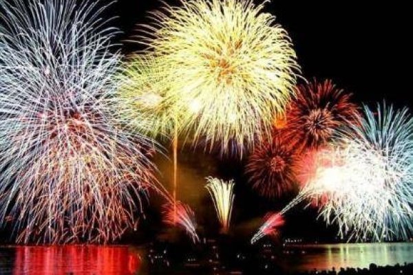 烟火四射代表生肖猴或龙，解析，根据生肖文化特点与烟花象征意义的结合，烟火四射可代表的生肖是猴和龙。-红迪亚