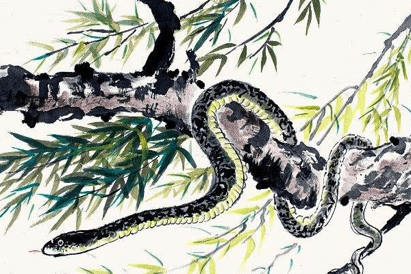 义结金兰与生肖，蛇为最佳匹配，虎为主要象征-红迪亚