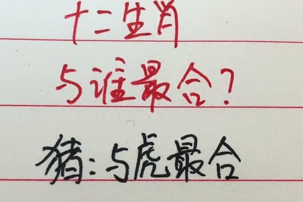 一举两得猜生肖，羊与虎蛇均有可能，解析谐音与文化寓意揭秘谜底。-红迪亚