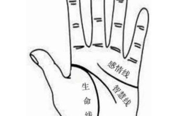 易经手相解析，事业线与智慧纹解读，洞悉人生轨迹与性格特征-红迪亚