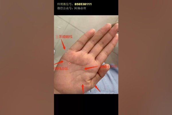 越老越有钱的手相特点解析-红迪亚