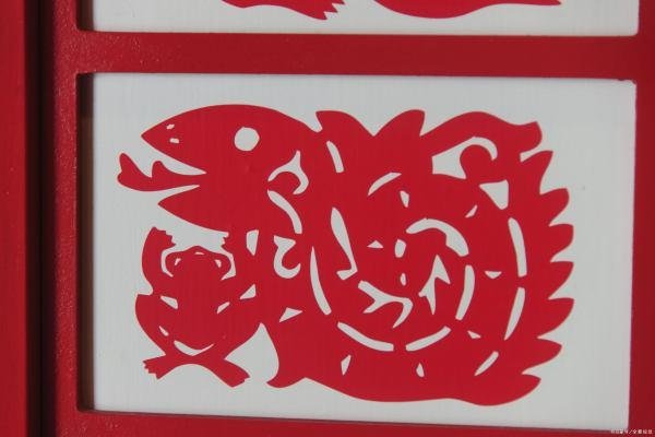 一毛不拔与生肖之谜。-红迪亚