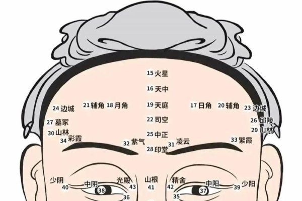 有钱人面相特征大揭秘-红迪亚