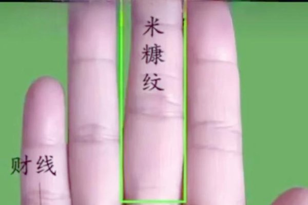 有钱人手相特征解析，朱砂掌、不动产线与深长理财纹，手相揭秘，嫁给有钱人的女性手相特征与财富运势解读-红迪亚