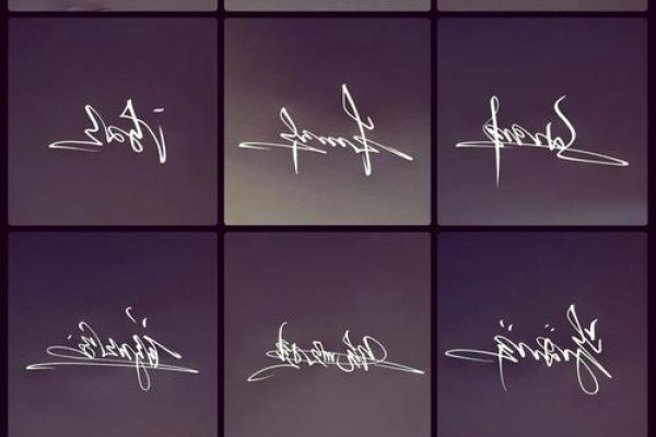 艺术签名设计技巧与示例,名字签名的魅力,或者,个性与艺术并存的名字签名探索-红迪亚