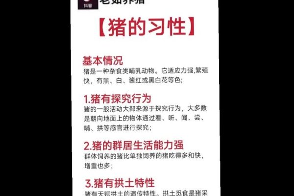 一生只以食为天，生肖猪的独特生活习性解读。-红迪亚