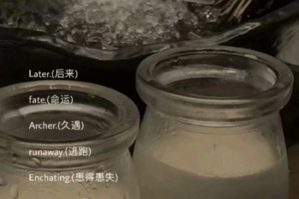 英文个性网名精选，简约、时尚与独特，StarrySky浪漫梦，Softrib脆弱肋，Warmsummer暖夏氛围，Fairylight仙女灵动，SafeHeart平安心语-红迪亚