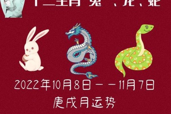 玉兔出宫最佳生肖答案是龙。-红迪亚